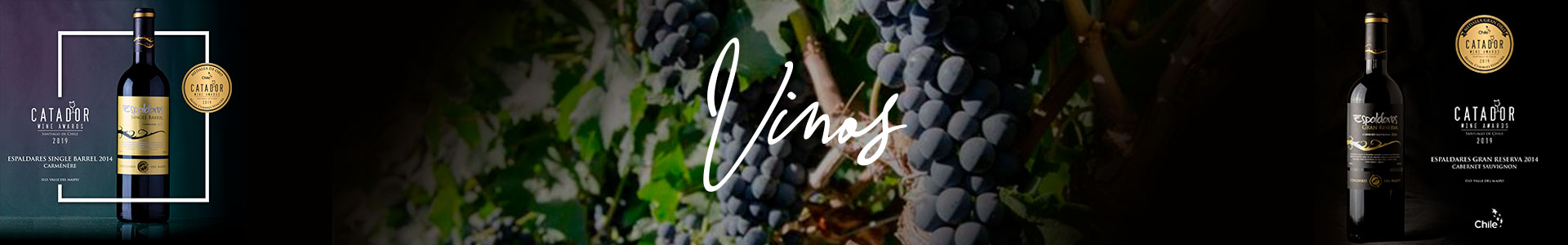 Banner Vinos